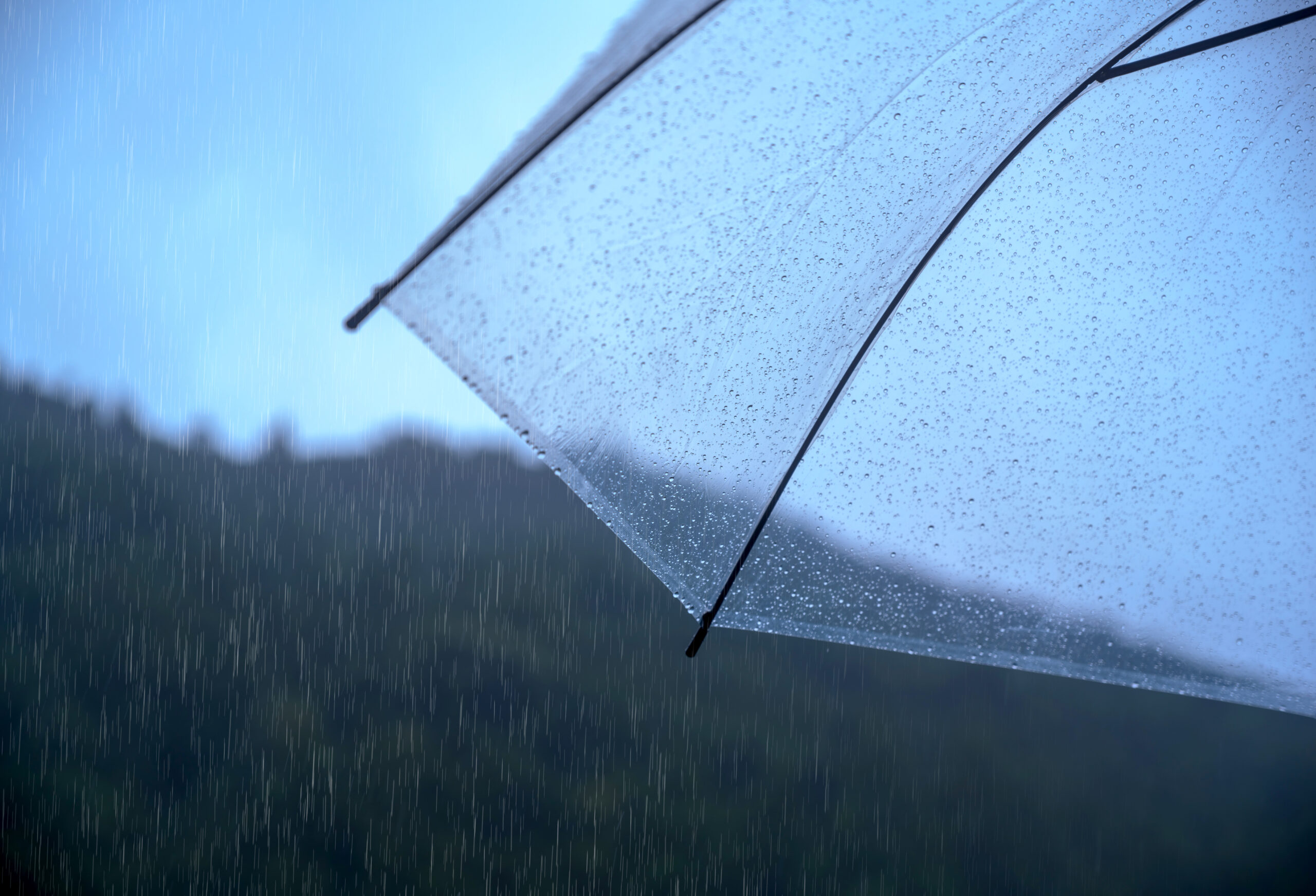 雨が降っている様子