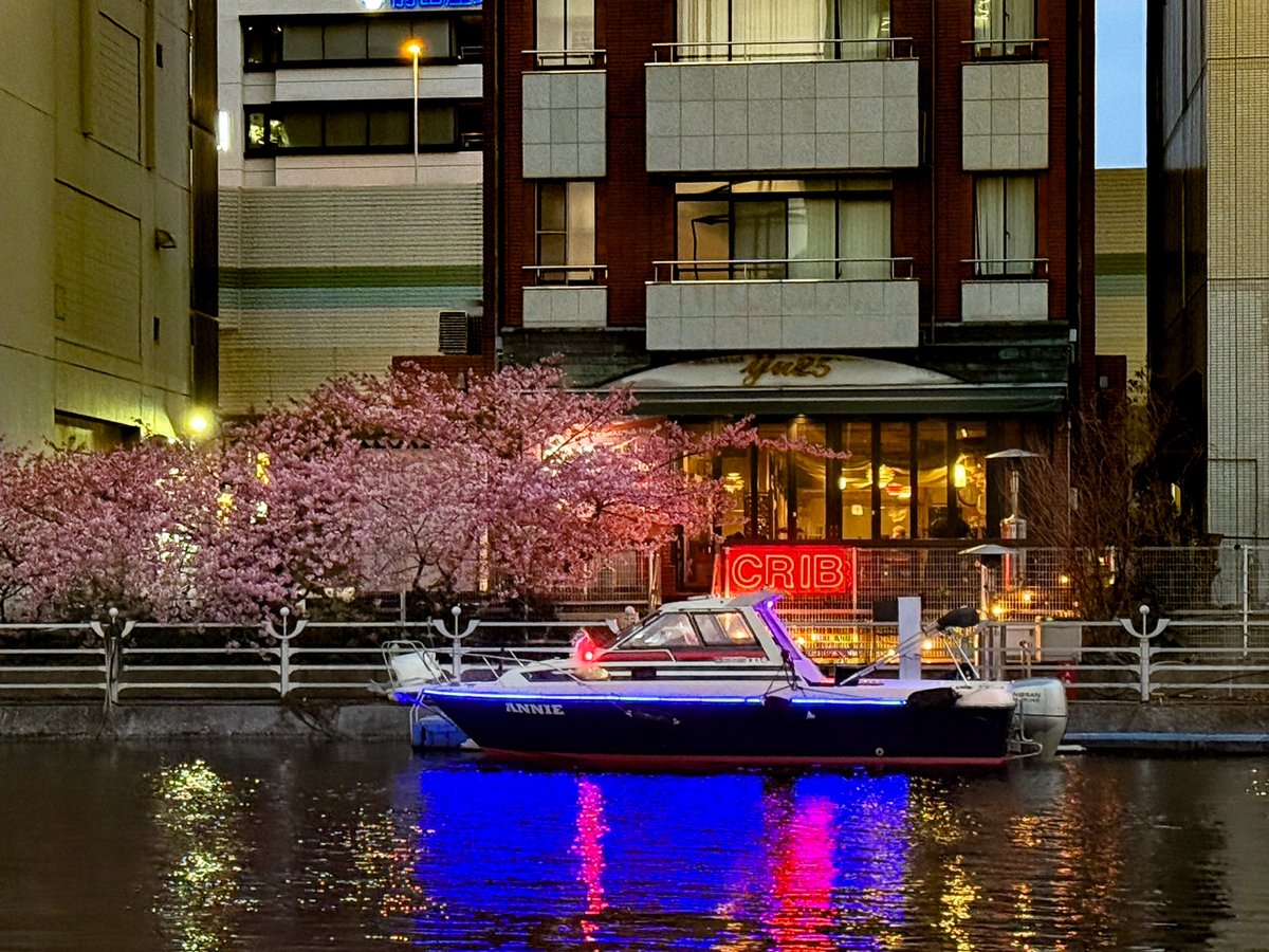 Private pier on the river